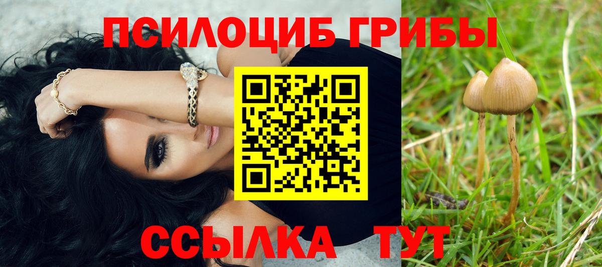 купить закладку  Галлюциногенные грибы прущие грибы  Алапаевск  Вход с VPN  Галлюциногенные грибы мицелий 